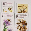 Kartenspiel Lehrquartett Bienen